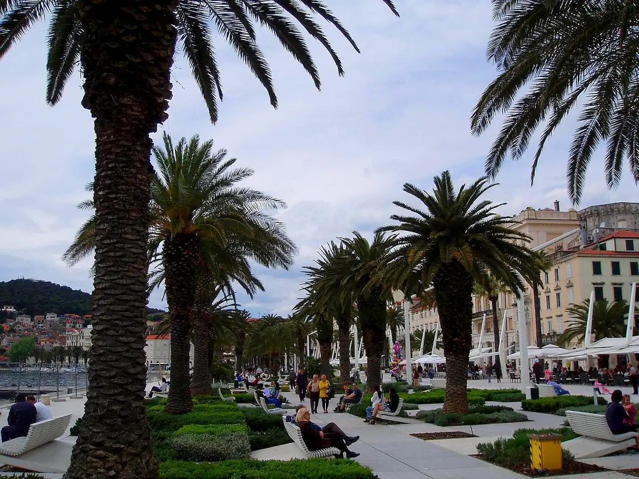 Palm-lined Riva waterfront promenade in Split on the Adriatic